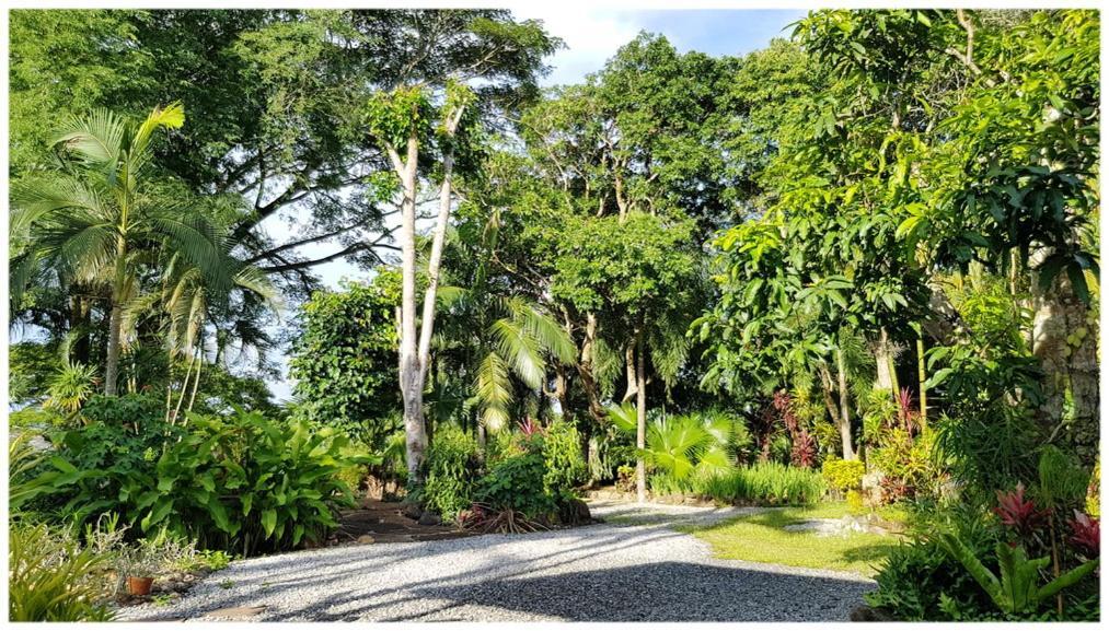 Baan Sakuna Hotel Chiang Khong Eksteriør billede